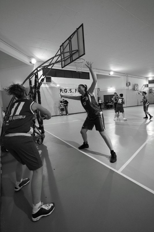 Basket 443033